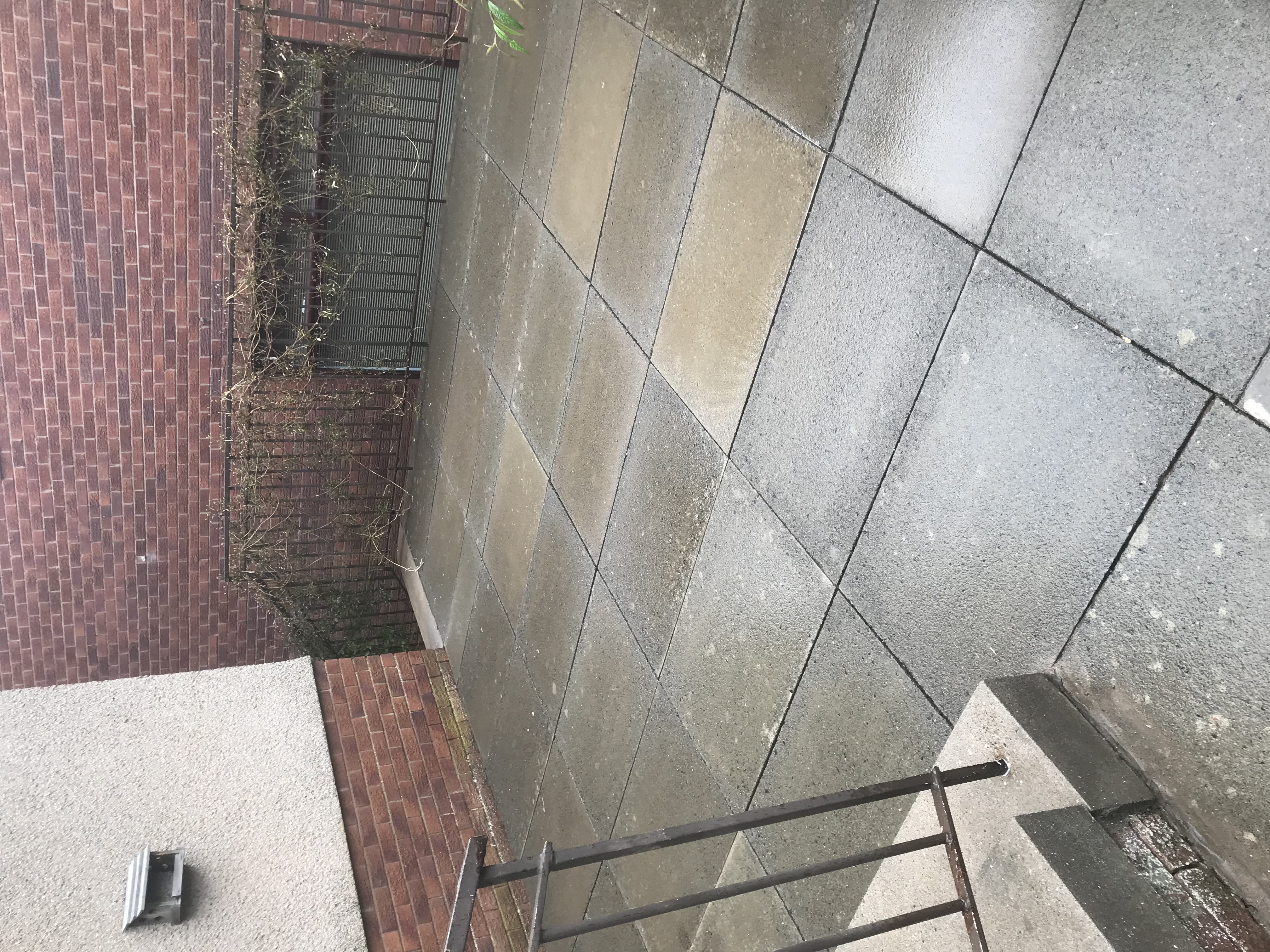Roof and gutter cleaning transformation